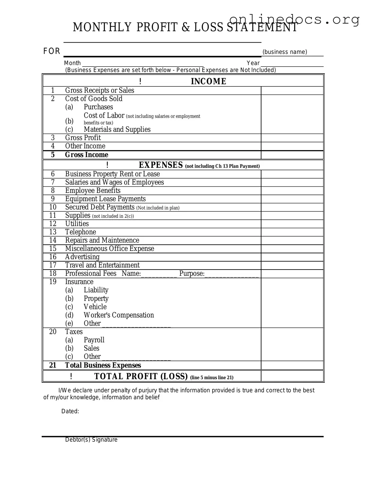 Profit And Loss PDF Form