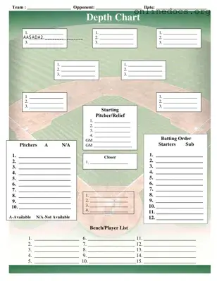 Baseball Field Lineup PDF Form