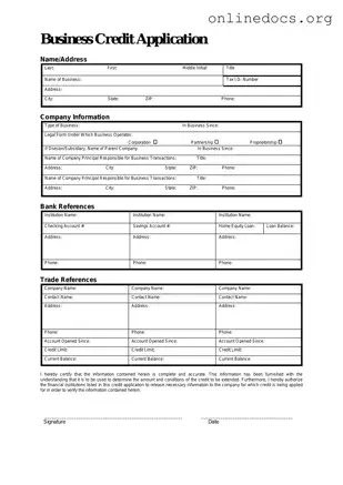 Business Credit Application PDF Form
