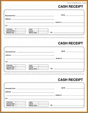 Cash Receipt PDF Form