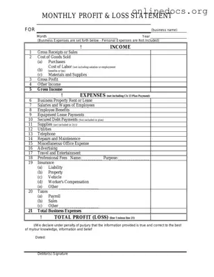 Profit And Loss PDF Form