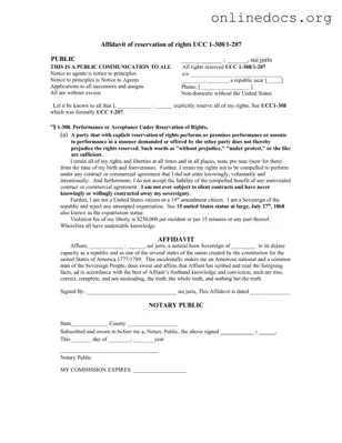 Ucc 1 308 PDF Form